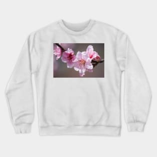 Cherry Blossom III Crewneck Sweatshirt